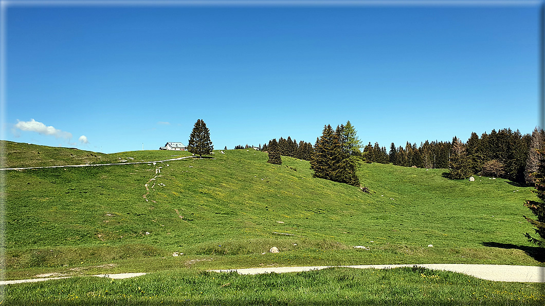 foto Piana del Vezzena